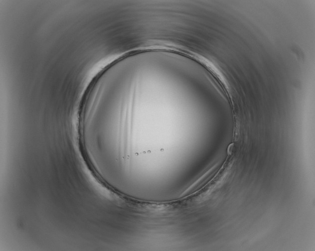 X0000113341003200910060954