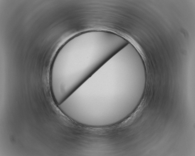 X0000113341004200910060954