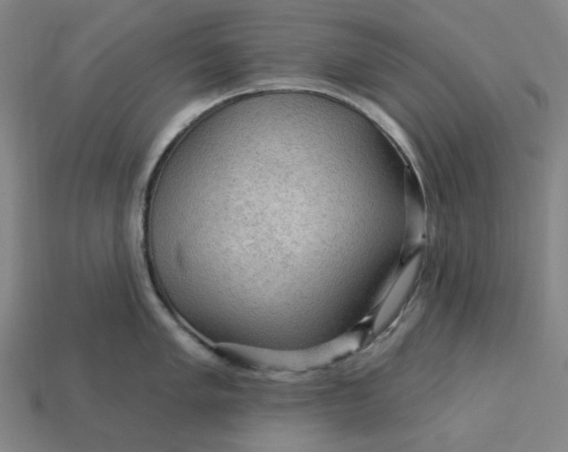 X0000113341005200910060953