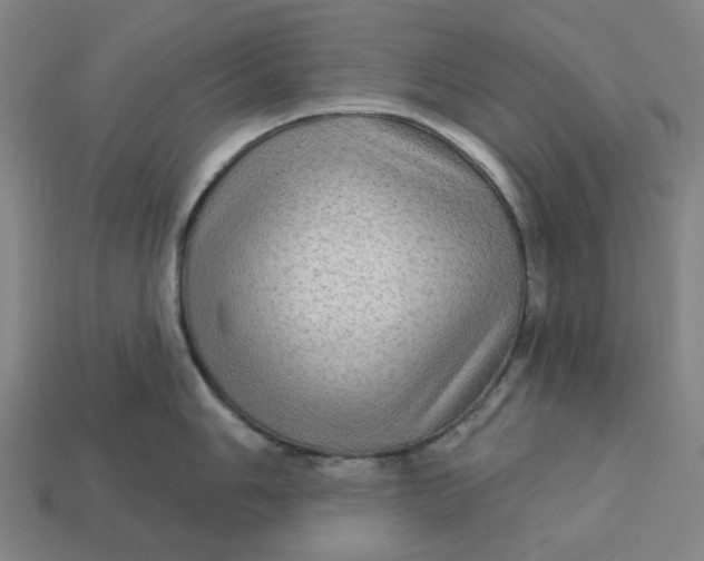 X0000113341006200910060953