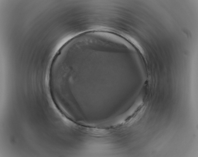 X0000113341007200910060953