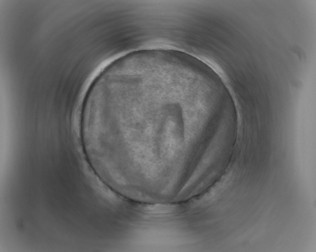 X0000113341008200910060953