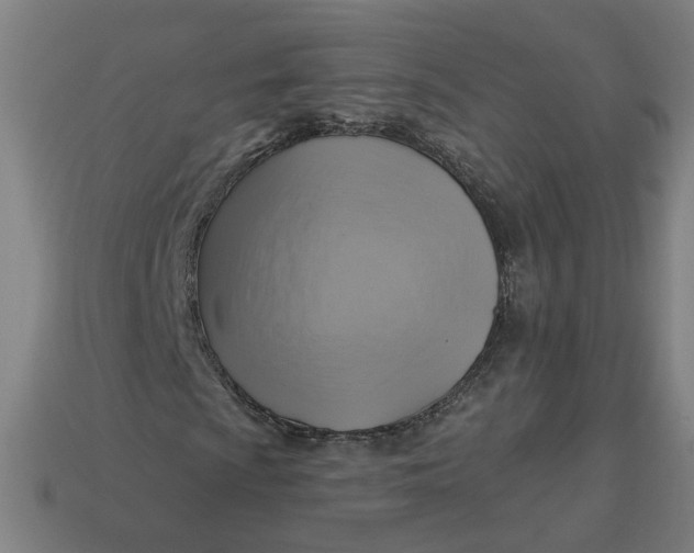 X0000113341009200910060953