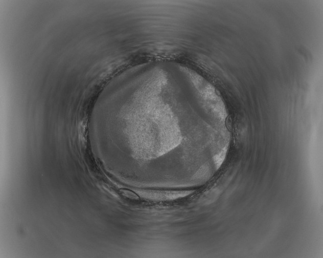 X0000113341010200910060953