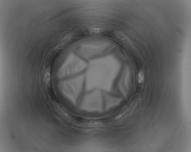 X0000113341011200910060953