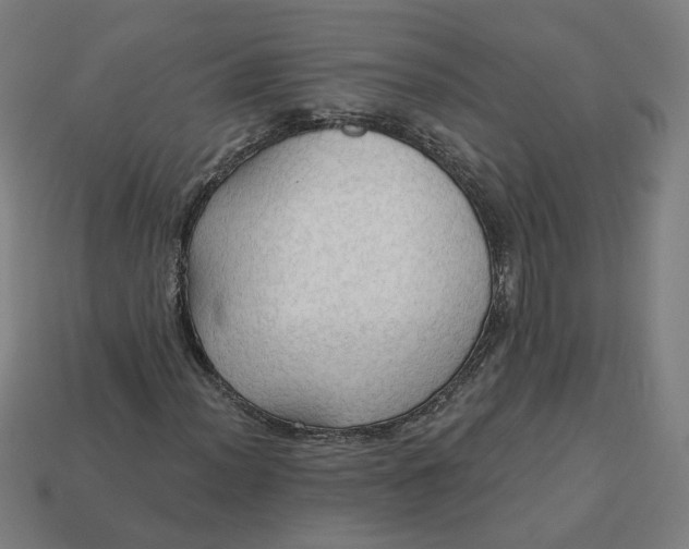 X0000113341012200910060953