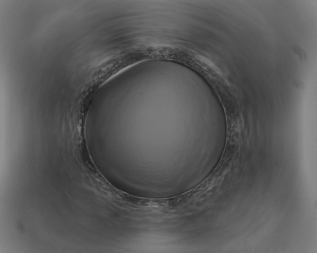 X0000113341013200910060953