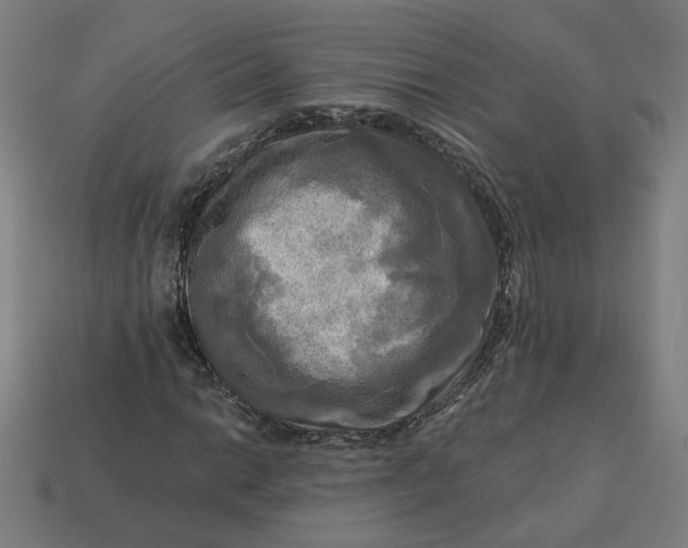 X0000113341014200910060953