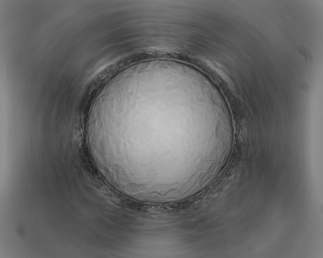 X0000113341015200910060953