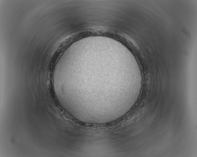 X0000113341016200910060953