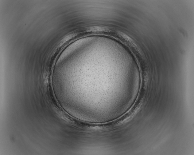 X0000113341017200910060953