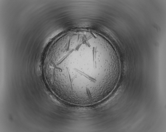 X0000113341018200910060953