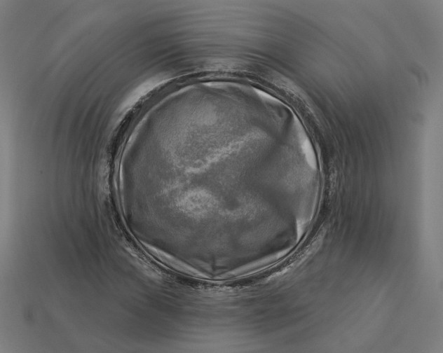 X0000113341019200910060953