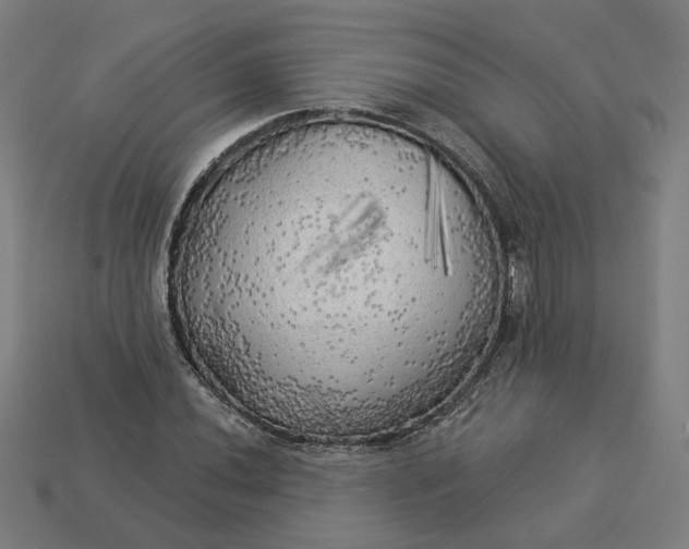 X0000113341020200910060953