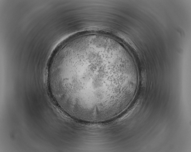 X0000113341021200910060953