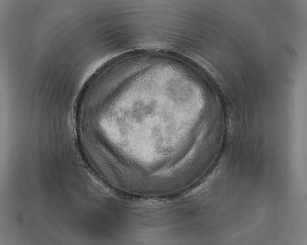 X0000113341022200910060953