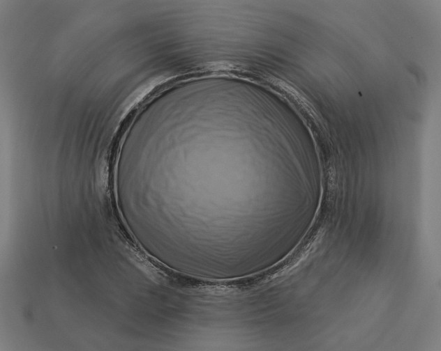 X0000113341023200910060953