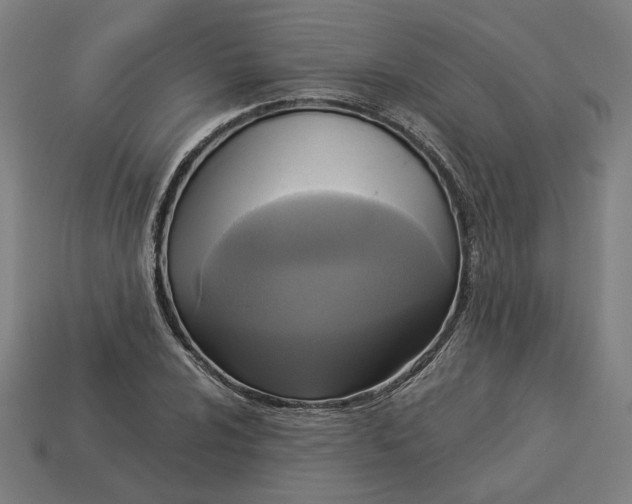 X0000113341024200910060953