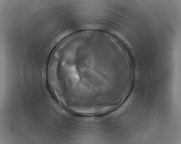 X0000113341025200910060953