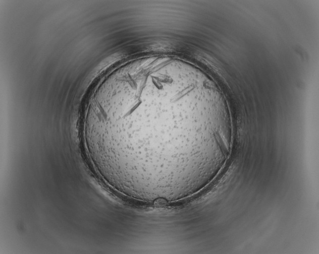 X0000113341026200910060953