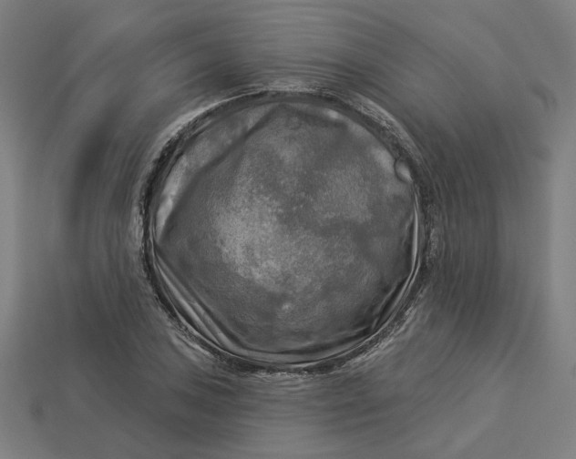 X0000113341027200910060953