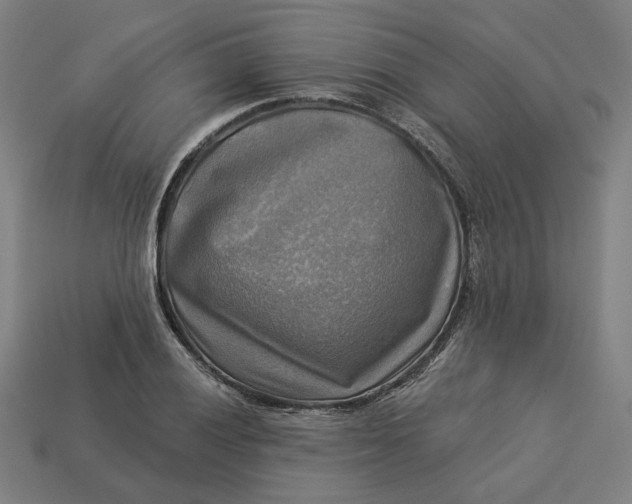 X0000113341028200910060953