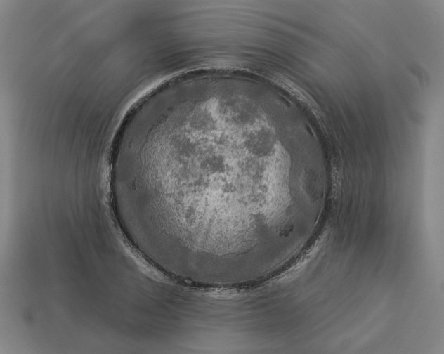 X0000113341029200910060953