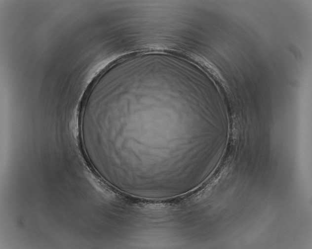 X0000113341031200910060953