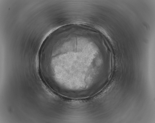 X0000113341032200910060953