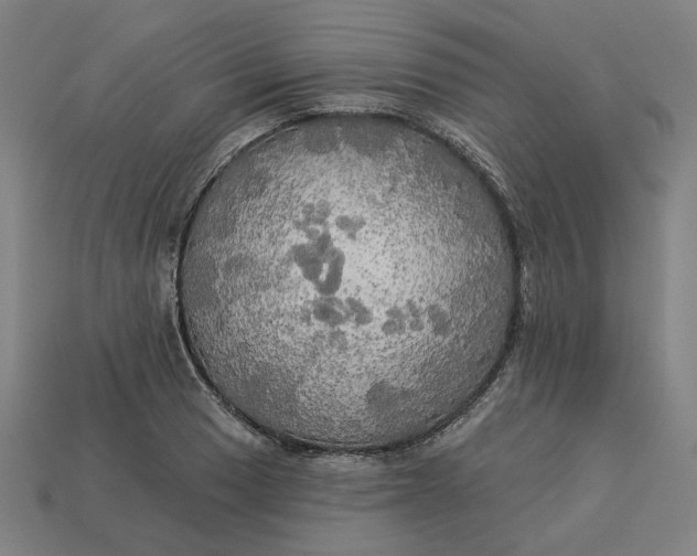 X0000113341033200910060953