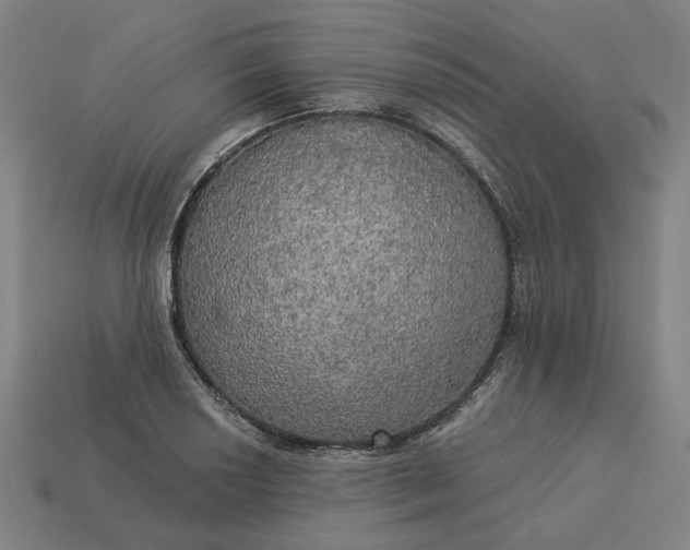 X0000113341034200910060953