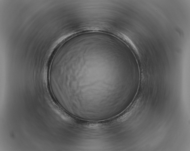 X0000113341035200910060953