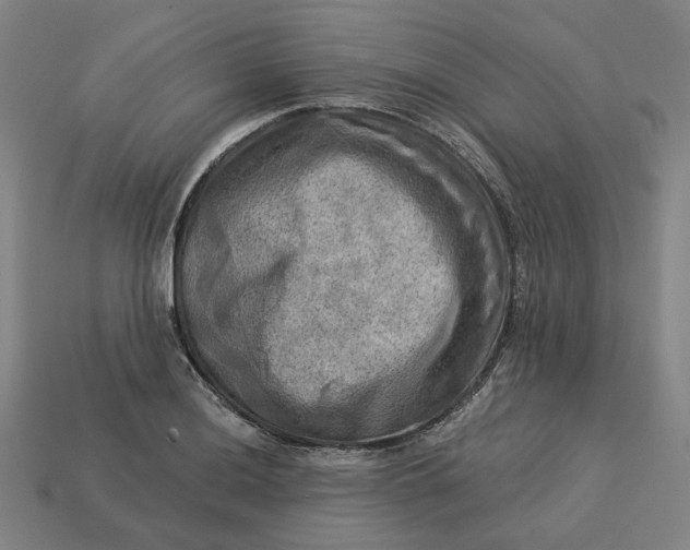 X0000113341036200910060953