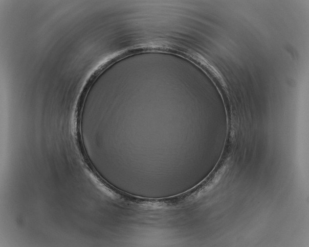 X0000113341037200910060953