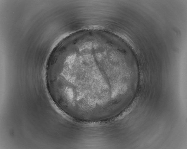 X0000113341038200910060953