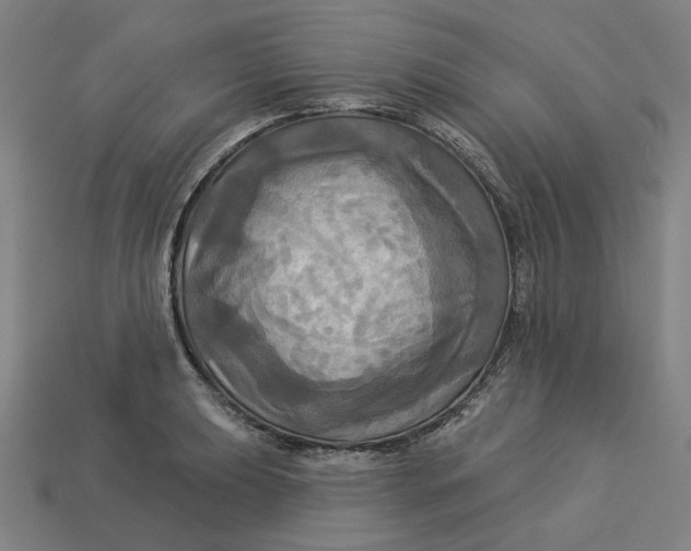 X0000113341039200910060953