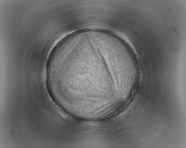 X0000113341040200910060953