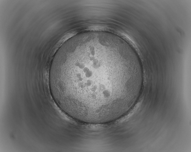 X0000113341041200910060953