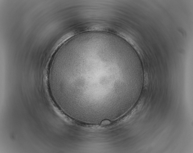 X0000113341042200910060953