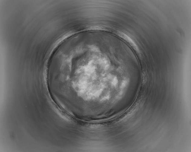 X0000113341043200910060953