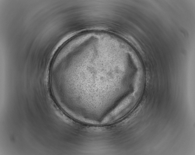 X0000113341044200910060953