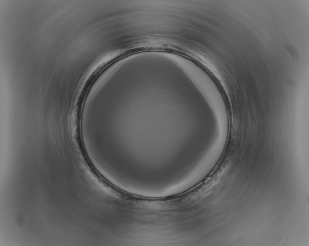 X0000113341045200910060953