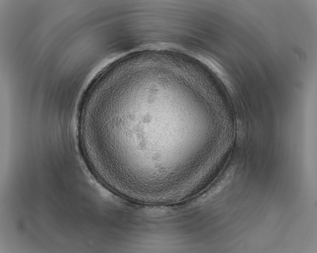 X0000113341046200910060953