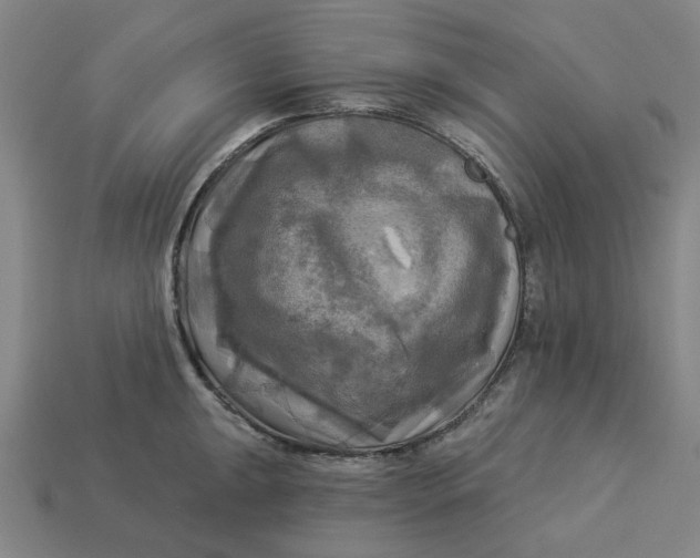 X0000113341047200910060953