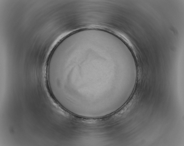 X0000113341048200910060953