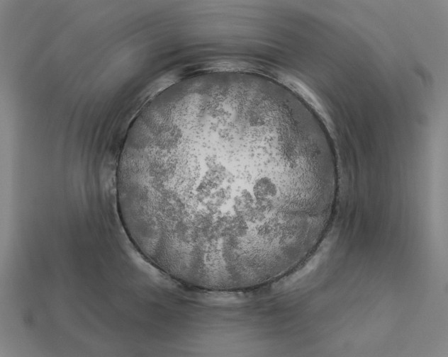 X0000113341049200910060953