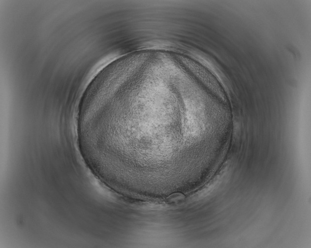 X0000113341050200910060953