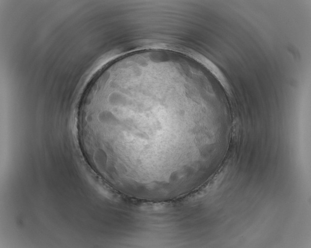 X0000113341051200910060953