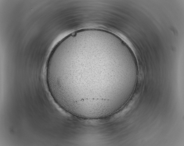 X0000113341053200910060953