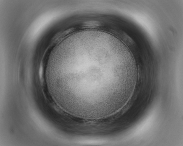 X0000113341054200910060953